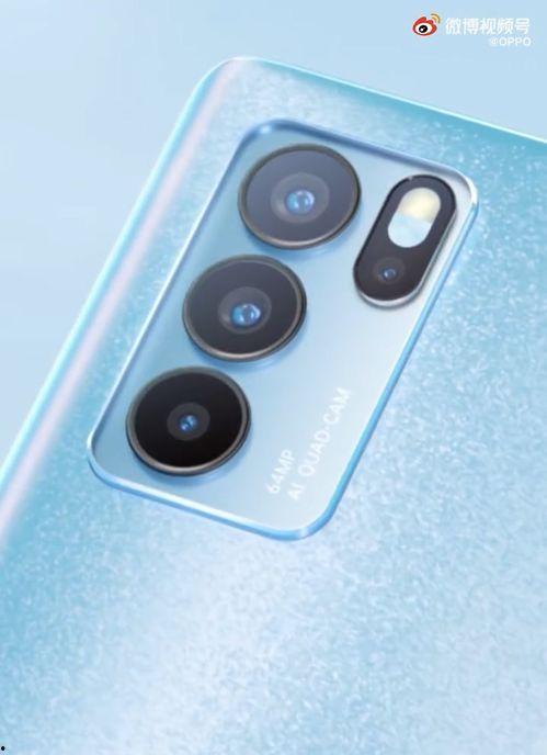 养家最新爆料视频下载,深度解析家庭生活幕后故事  第1张